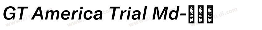 GT America Trial Md字体转换